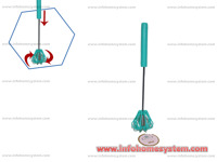 MUCKALICA BR-5203 FISHER FG HAUS                            